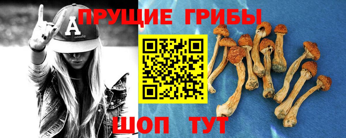 Галлюциногенные грибы GOLDEN TEACHER Альметьевск
