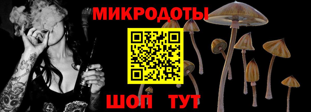 Псилоцибиновые грибы Psilocybe  Вход с VPN  где продают   Альметьевск 
